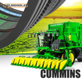 Cummins Riemen