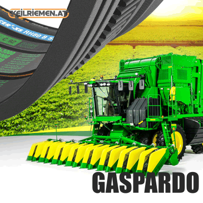 Gaspardo Riemen F06010158%TGX 0