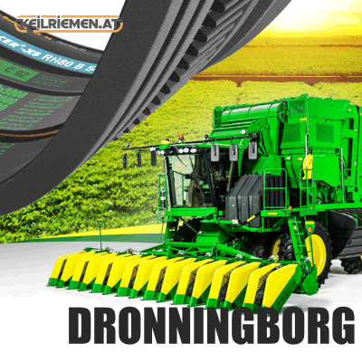 Dronningborg Riemen D41995200%TGX 0