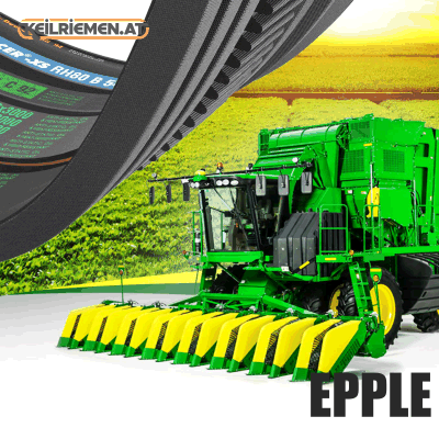 Epple Riemen 644230%TGX 0