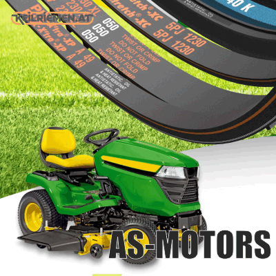 AS-Motors Riemen A-3139%PLG 0