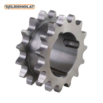 Zweifach-Scheiben für zwei Einfach-Ketten für Taperbuchsen 1